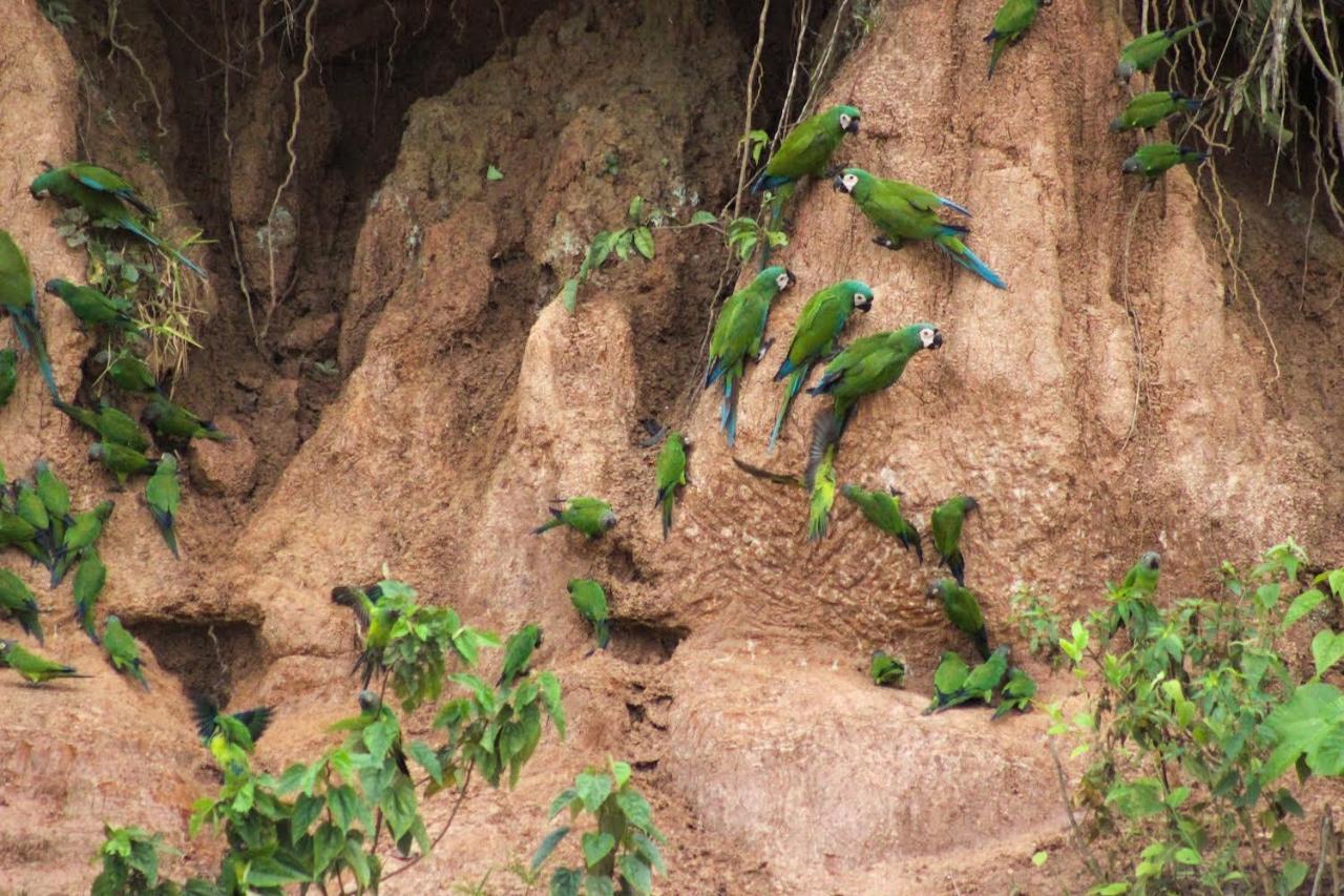 Отель Tronco Tambopata Adventure Пуэрто-Мальдонадо Экстерьер фото