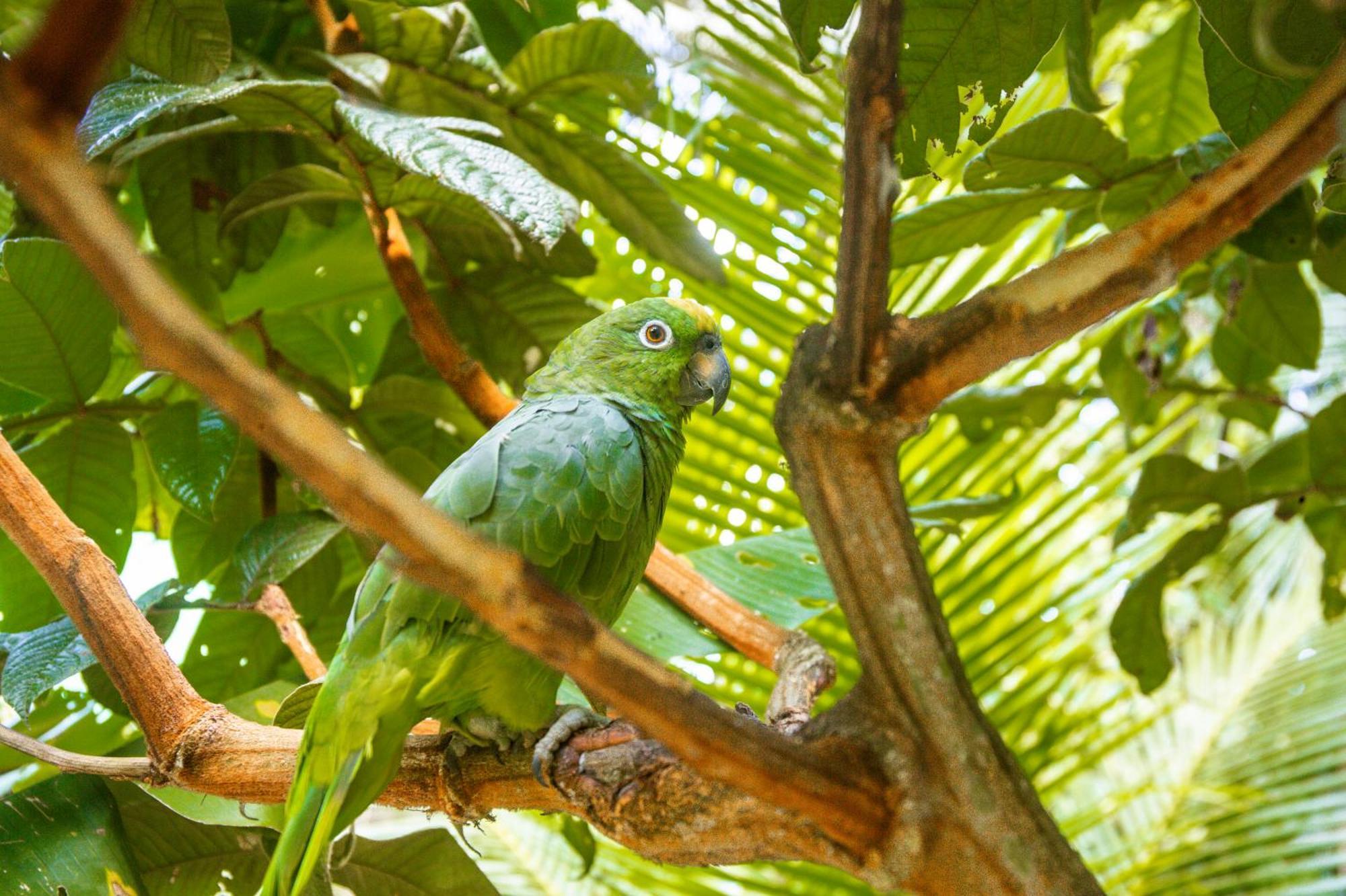 Отель Tronco Tambopata Adventure Пуэрто-Мальдонадо Экстерьер фото