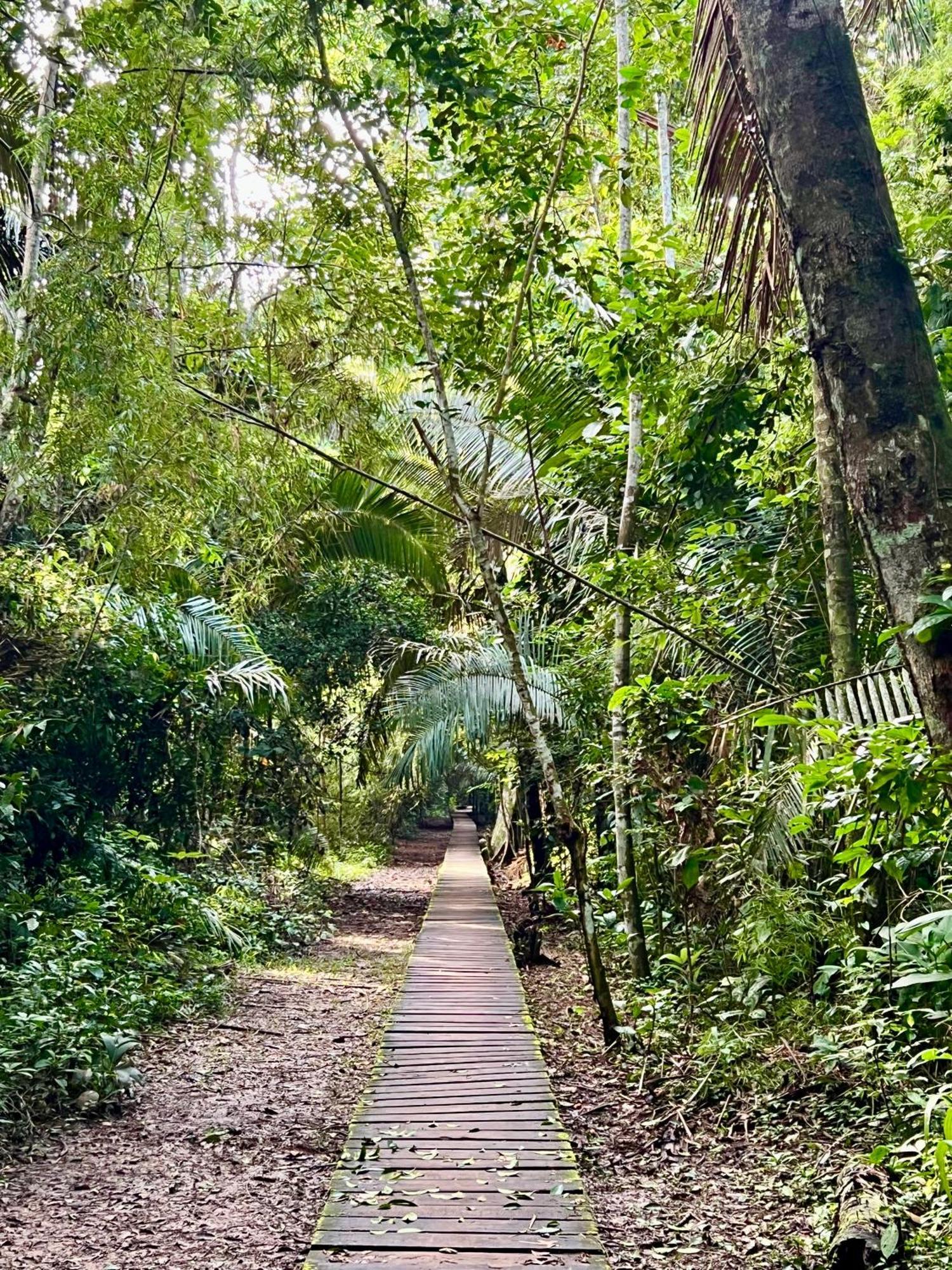 Отель Tronco Tambopata Adventure Пуэрто-Мальдонадо Экстерьер фото
