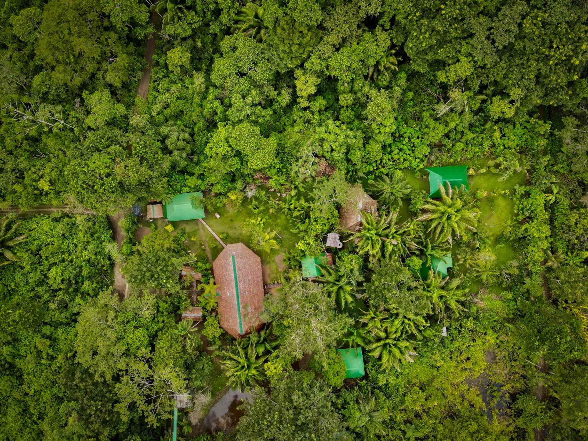 Отель Tronco Tambopata Adventure Пуэрто-Мальдонадо Экстерьер фото